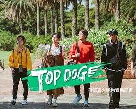 91精品《TOP DOG》免费在线观看