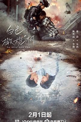 91精品福利视频《白色橄榄树》免费在线观看