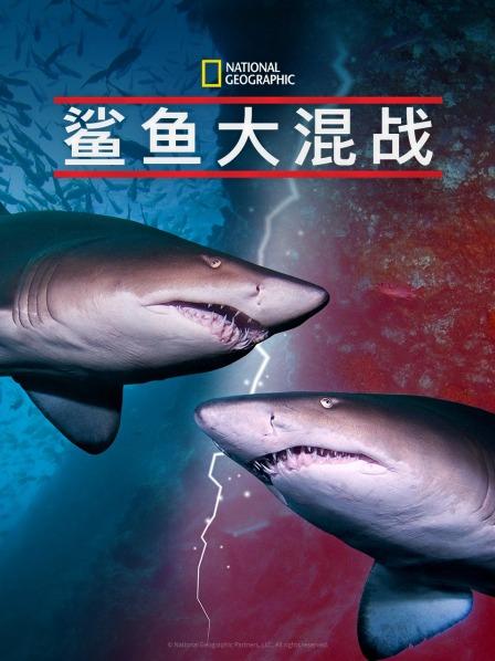 91精品《鲨鱼大混战》免费在线观看