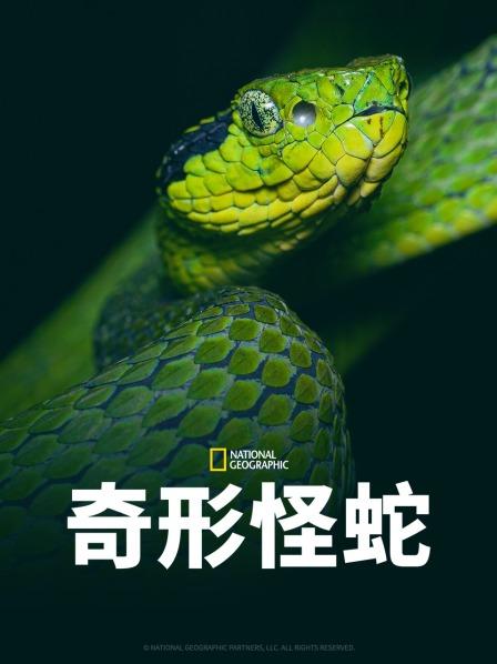 91精品福利视频《奇形怪蛇》免费在线观看